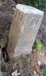 Borne M